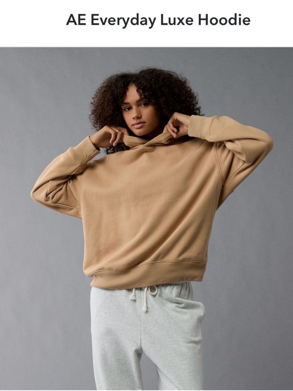 American Eagle Outfitters Everyday Luxe Hoodie - Tan
